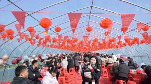 单车公交地铁站 公园广场蔬菜棚 这届合肥年轻人,结个婚也太 潮 了吧